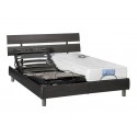 Sommier Electrique HERCULE