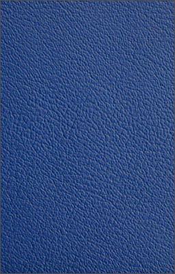 PVC SALAMANCA Bleu