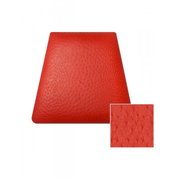 AUTRUCHE ROUGE