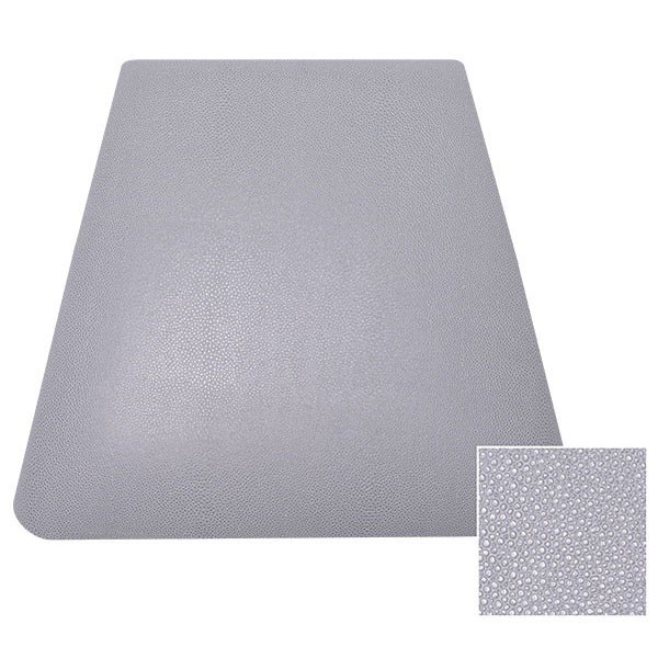 RAIE GRIS