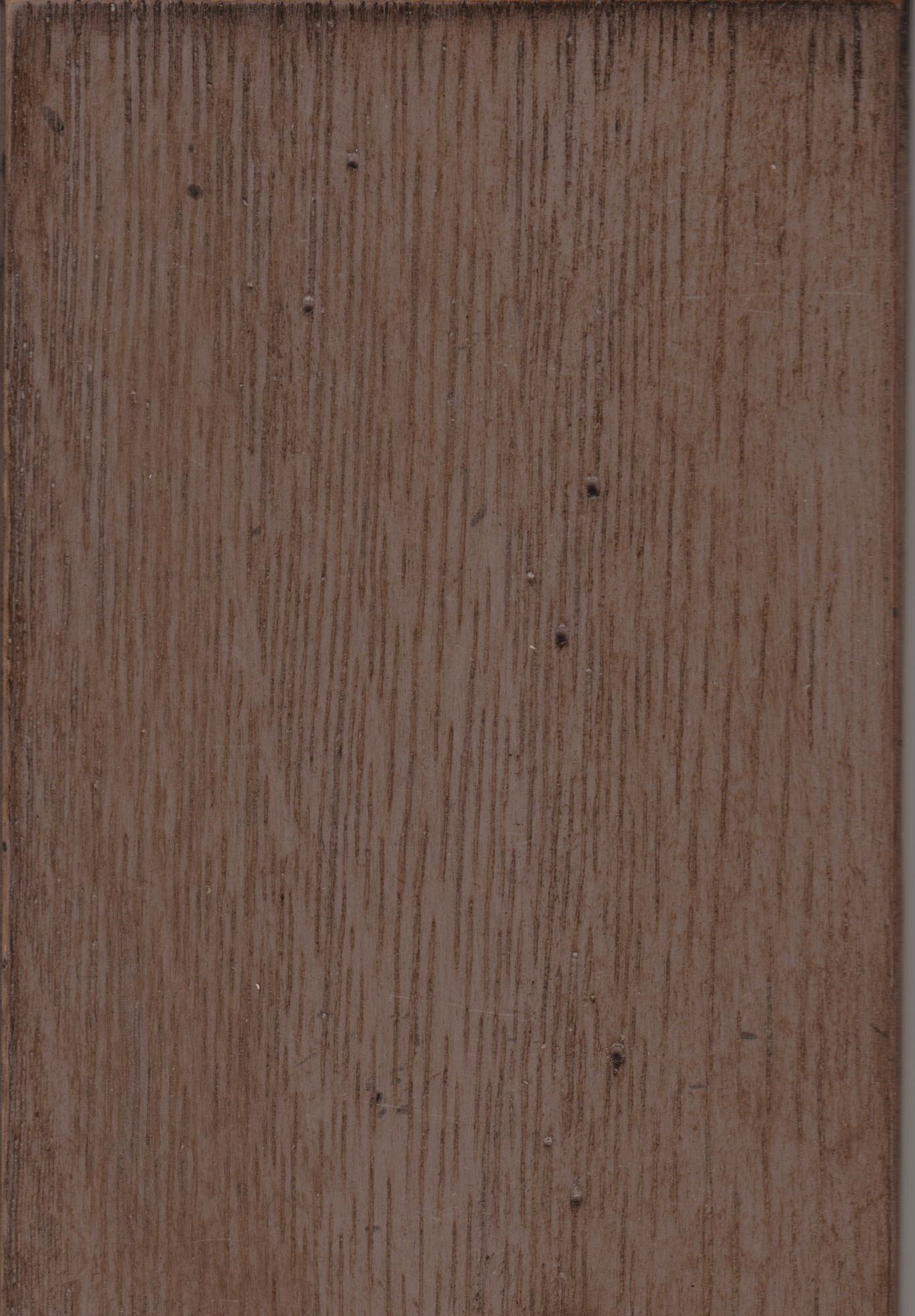 Gris Taupe